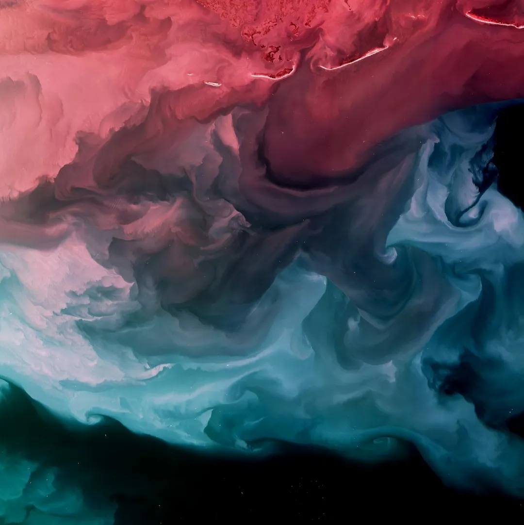 Cover for Prijsoptimalisatie